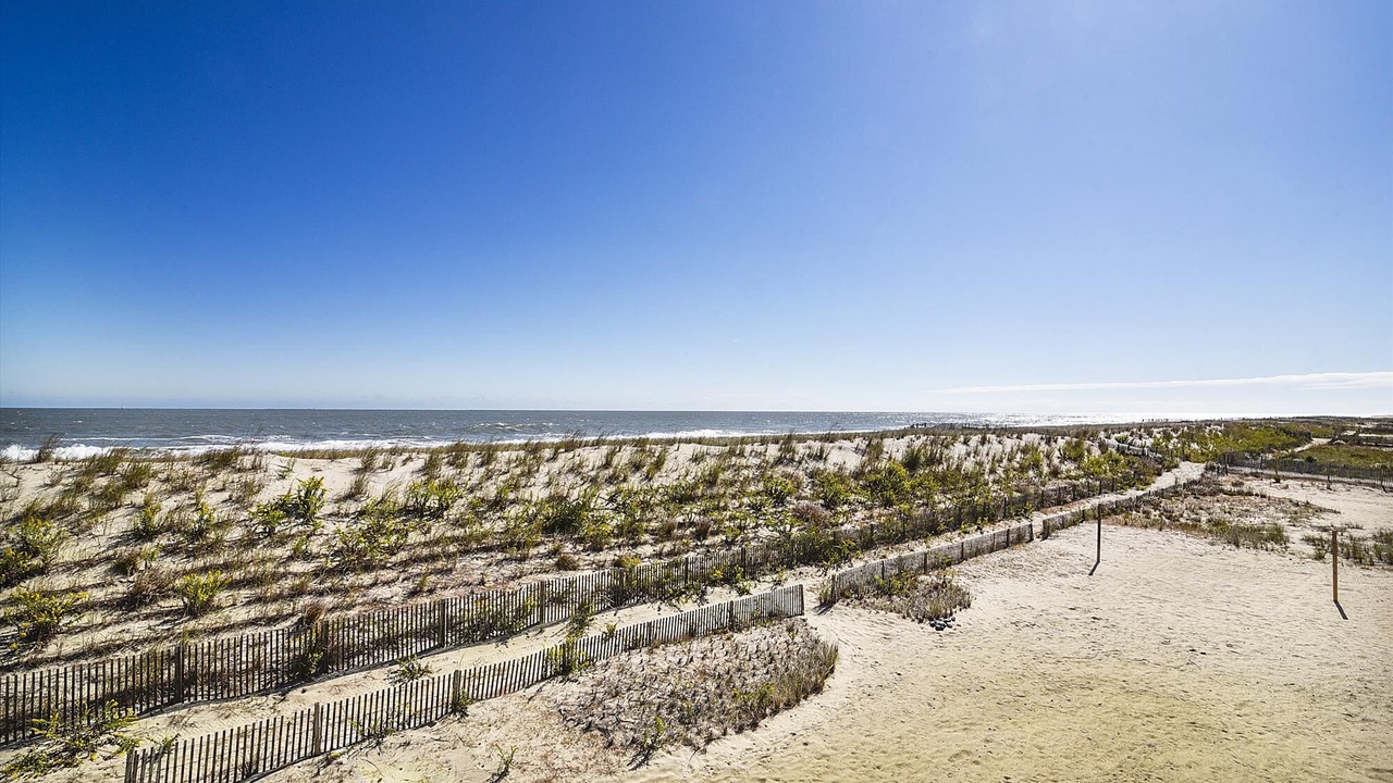 Photo of Others in South Bethany