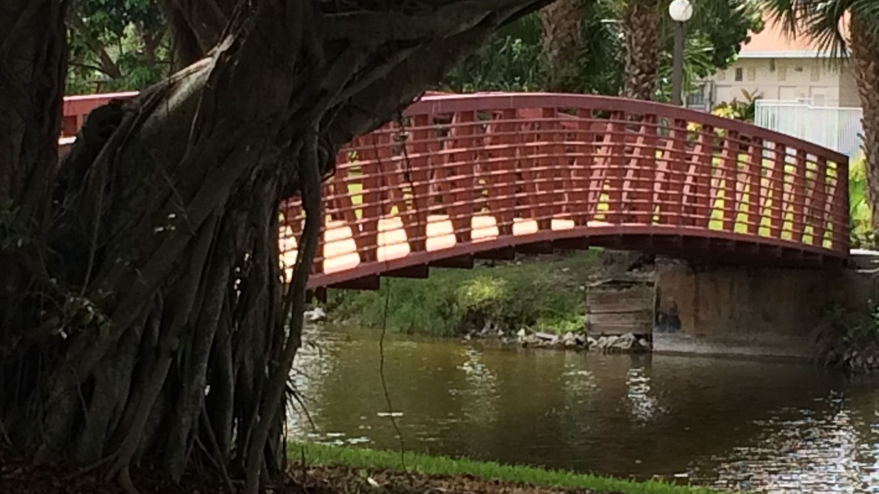 Photo of Others in Delray Beach