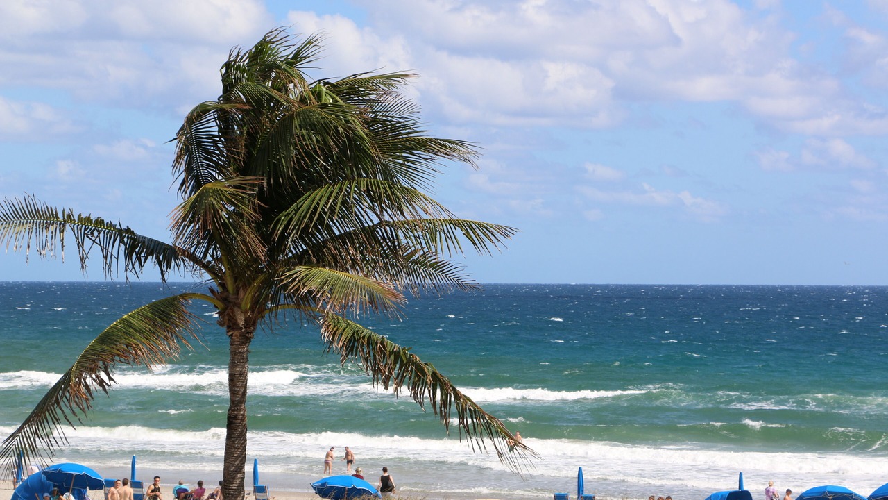 Photo of Others in Delray Beach