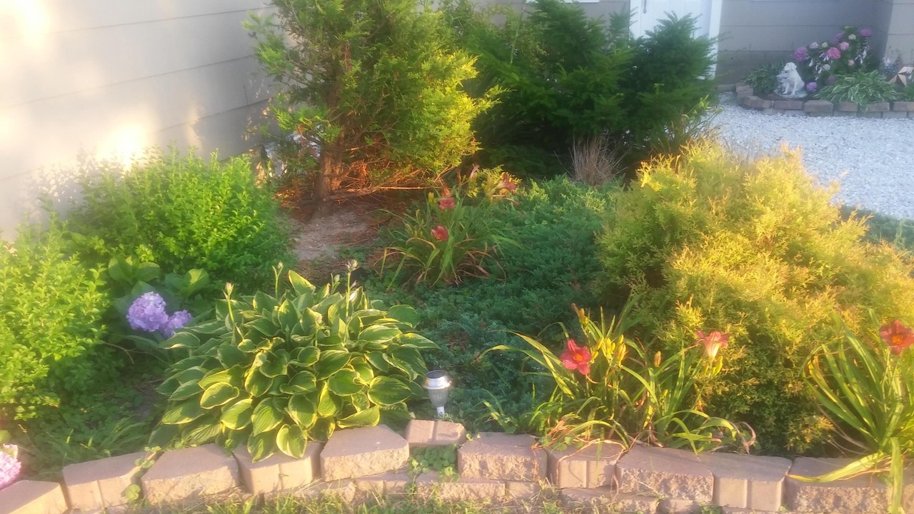Photo of Outdoor in Villas