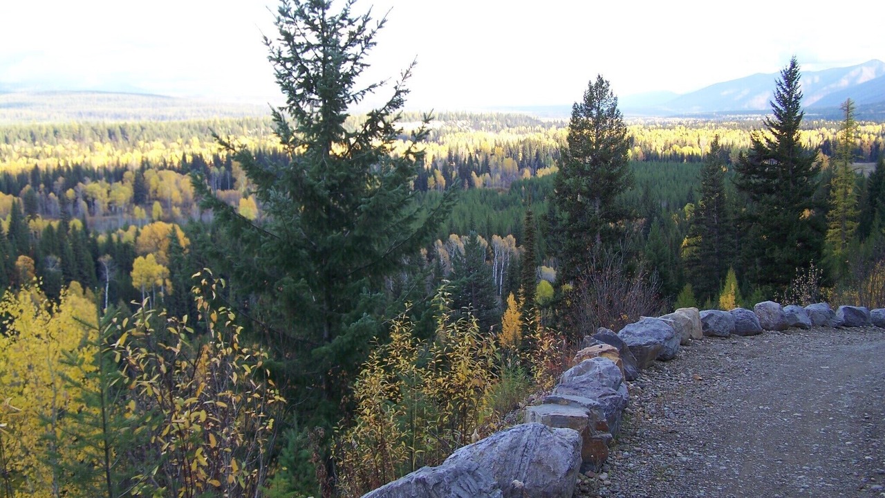 Photo of Others in Polebridge