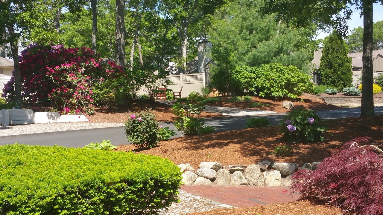 Photo of Others in Mews Village