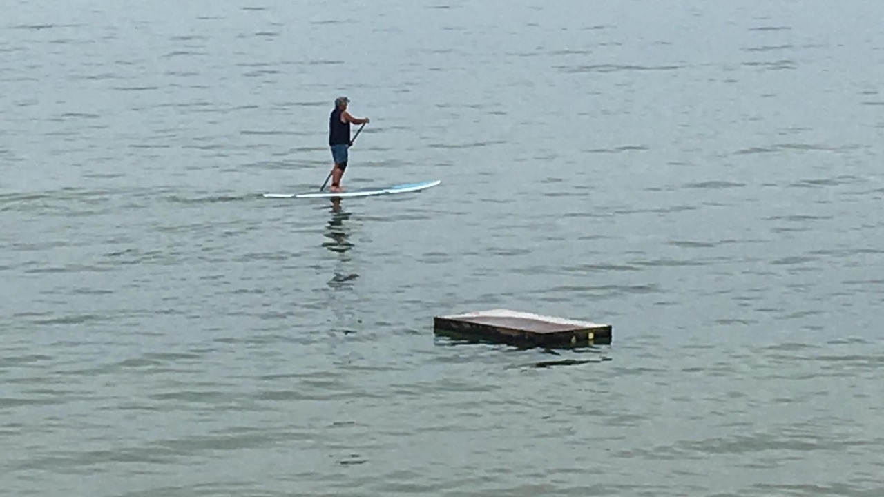 Photo of Others in North Eastham