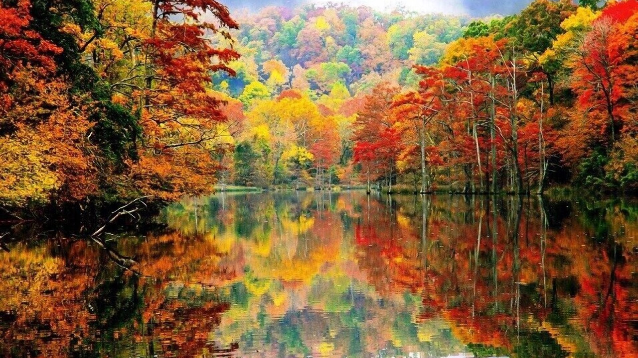Photo of Outdoor in Edray