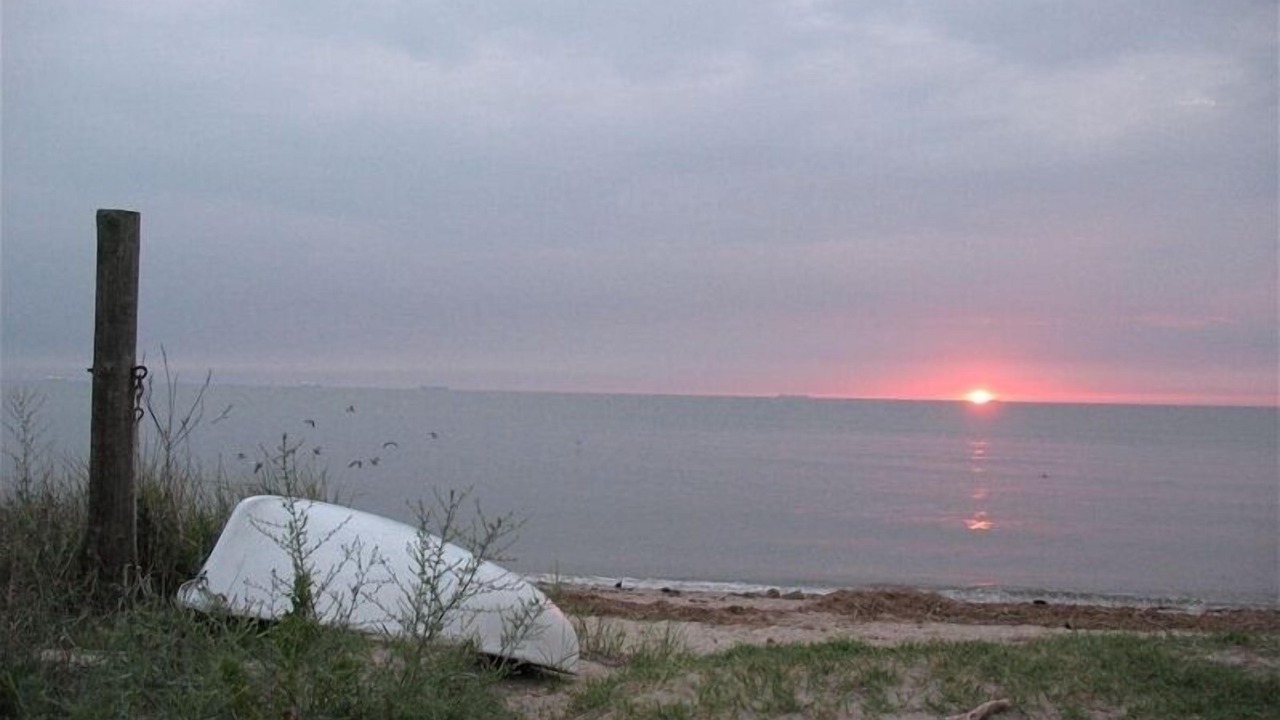 Photo of Others in Prime Hook Beach