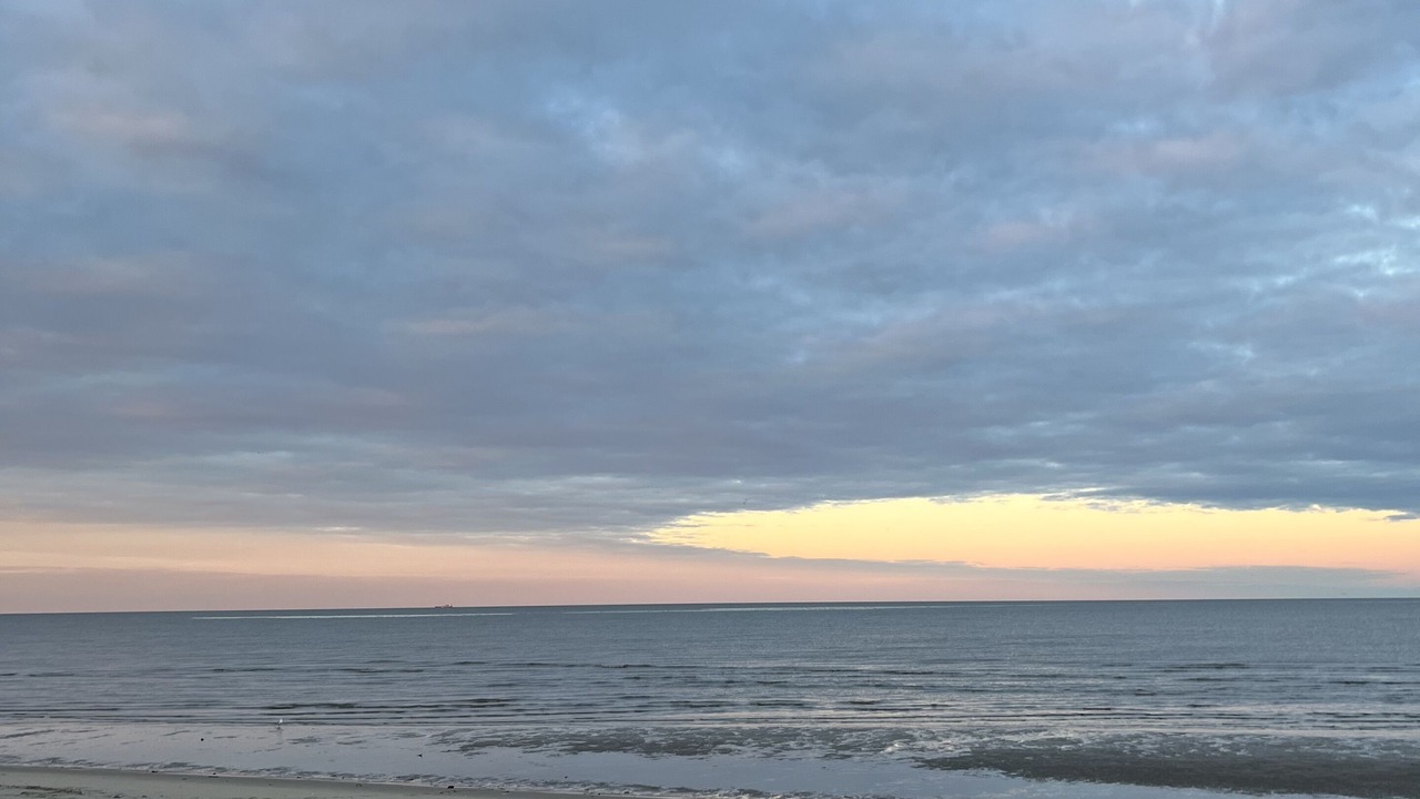 Photo of Others in Prime Hook Beach