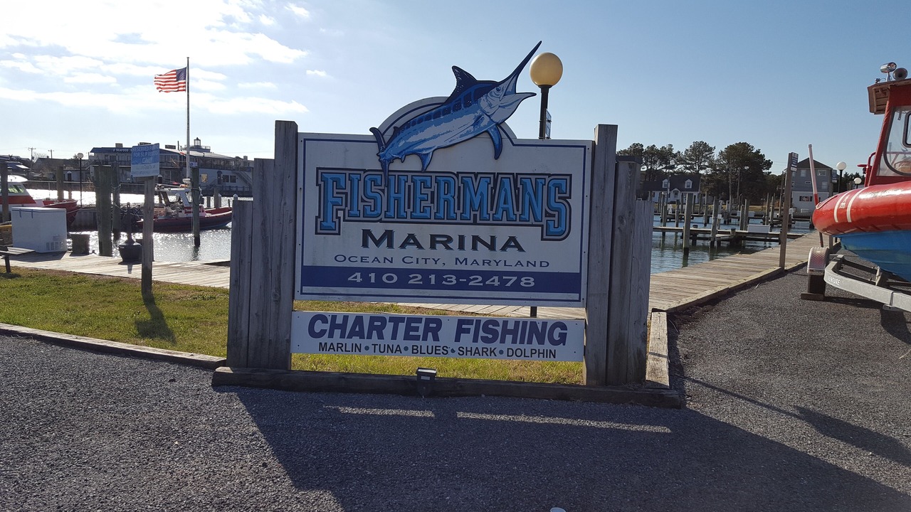 Photo of Outdoor in West Ocean City