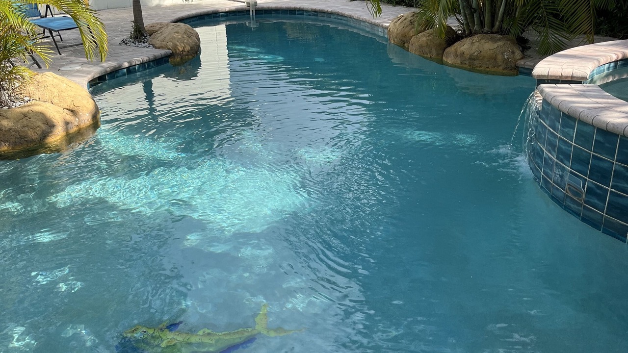 Photo of Outdoor in South Corals