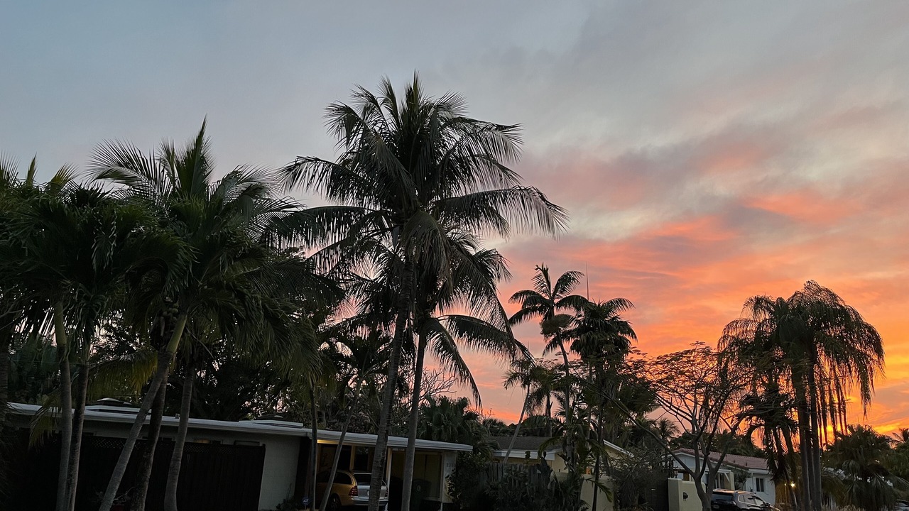Photo of Outdoor in South Corals