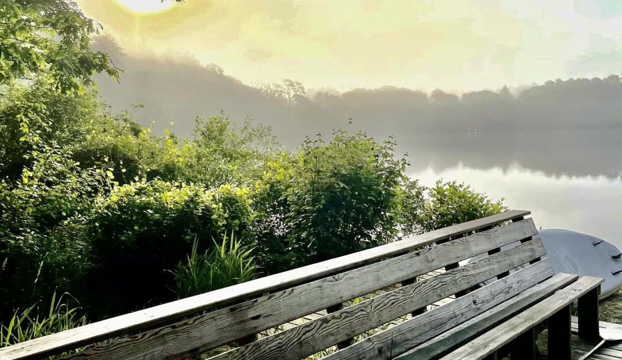 Photo of Outdoor in East Falmouth