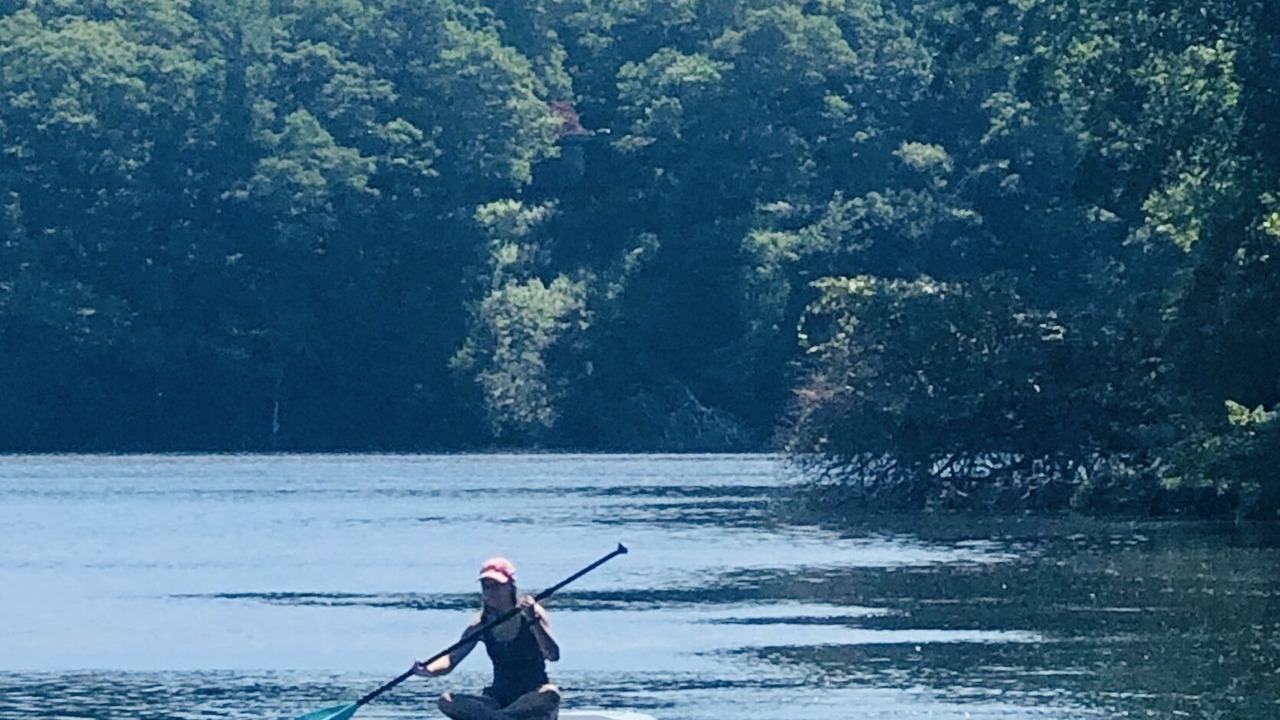 Photo of Others in East Falmouth