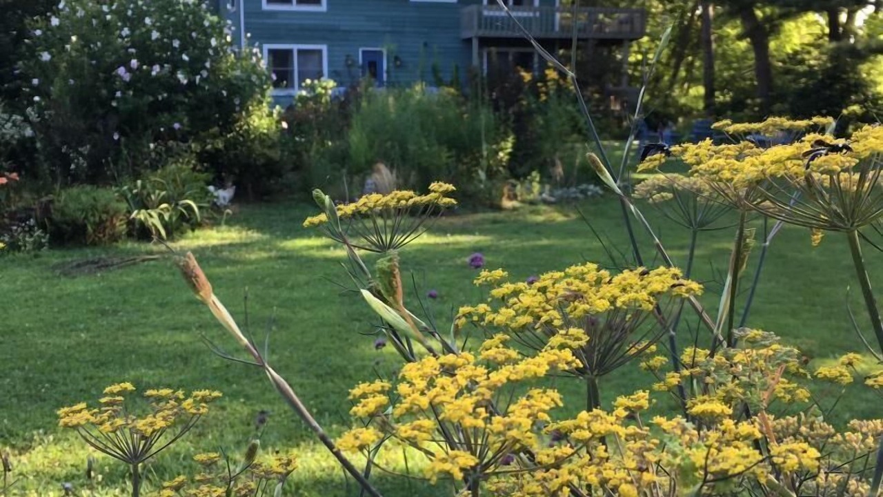 Photo of Outdoor in Red Mill Pond