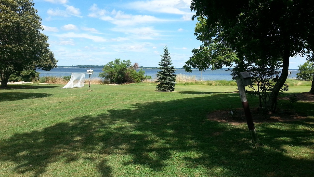 Photo of Outdoor in Cambridge