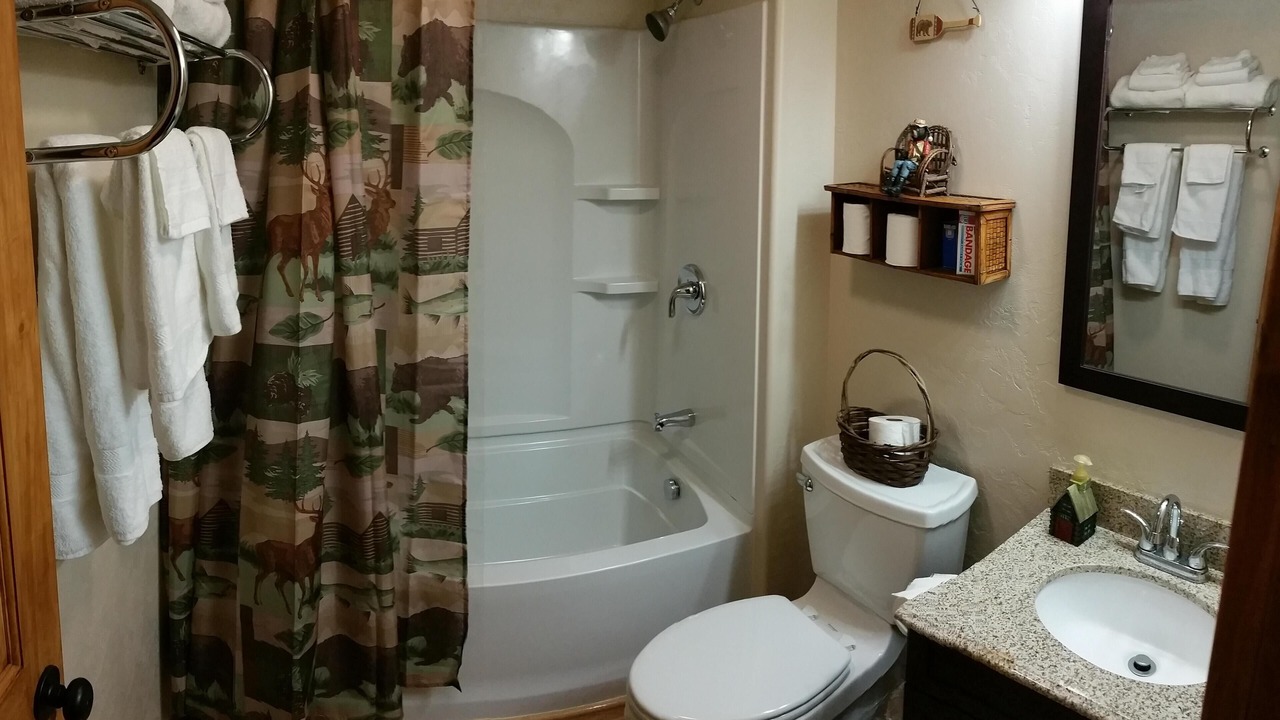 Photo of Bathroom in Martin City