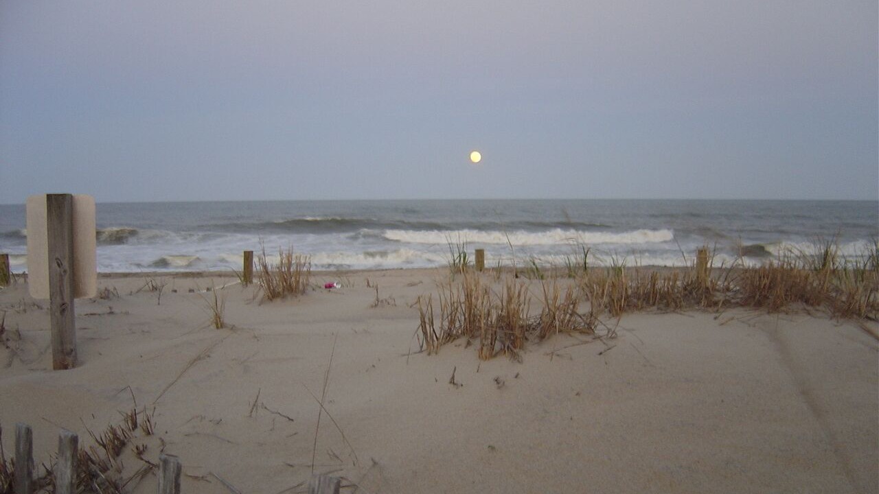 Photo of Others in Midtown Ocean City