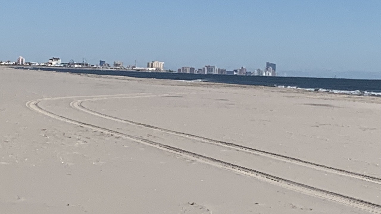 Photo of Others in South End