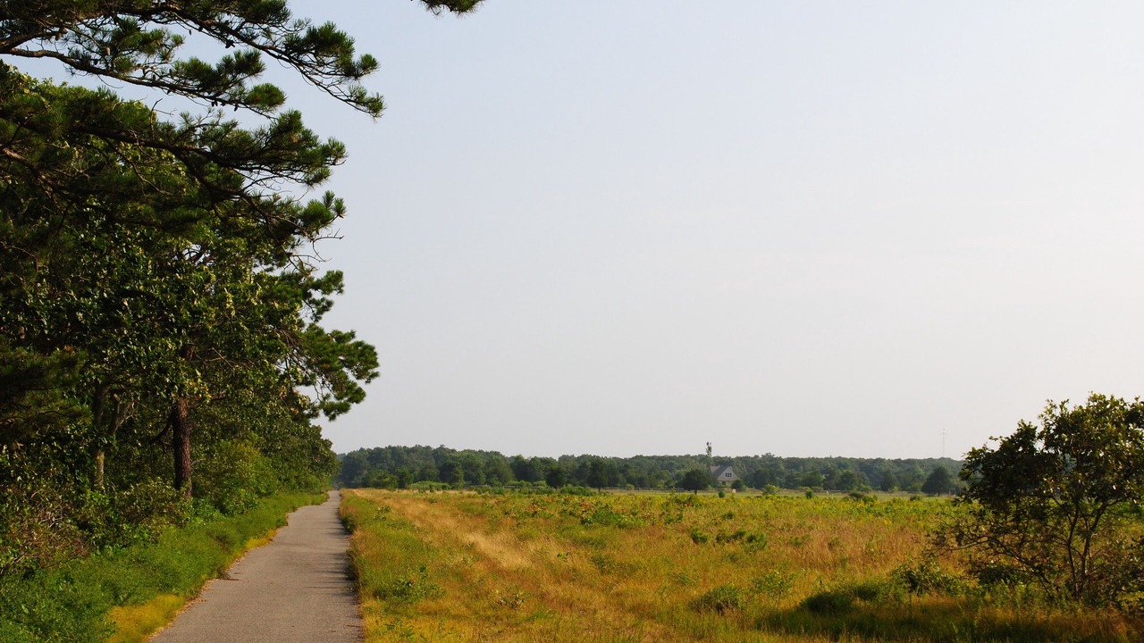 Photo of Others in West Tisbury