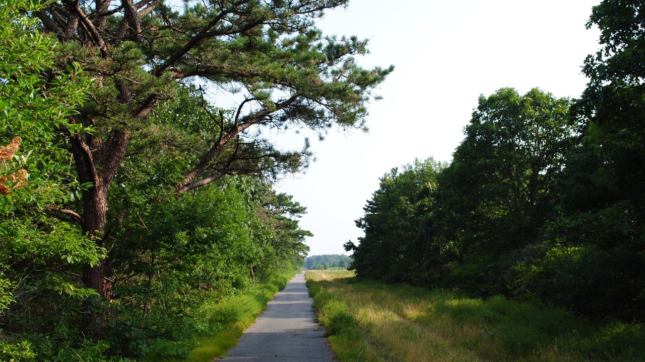 Photo of Others in West Tisbury