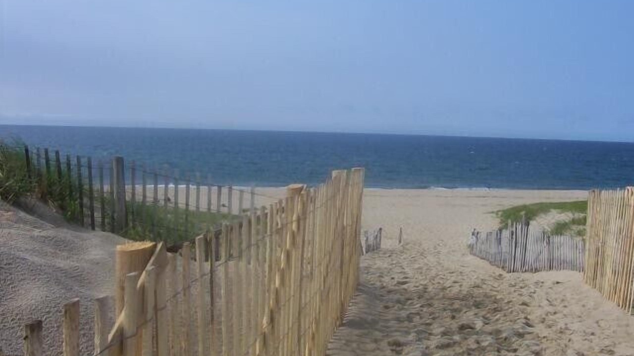 Photo of Others in Hyannis