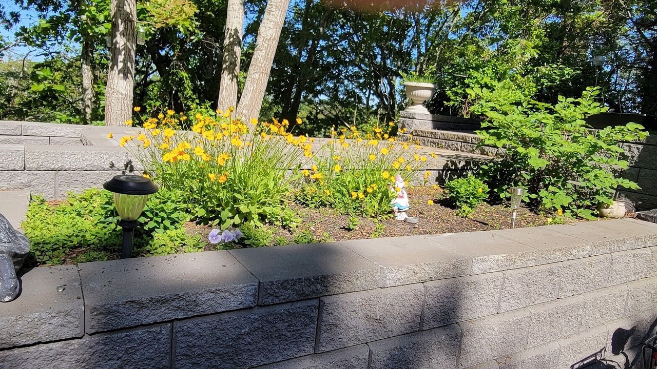 Photo of Others in Provincetown