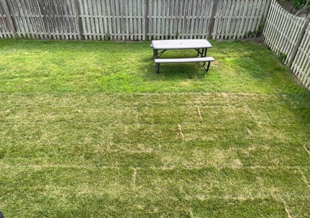 Photo of Outdoor in Cape May