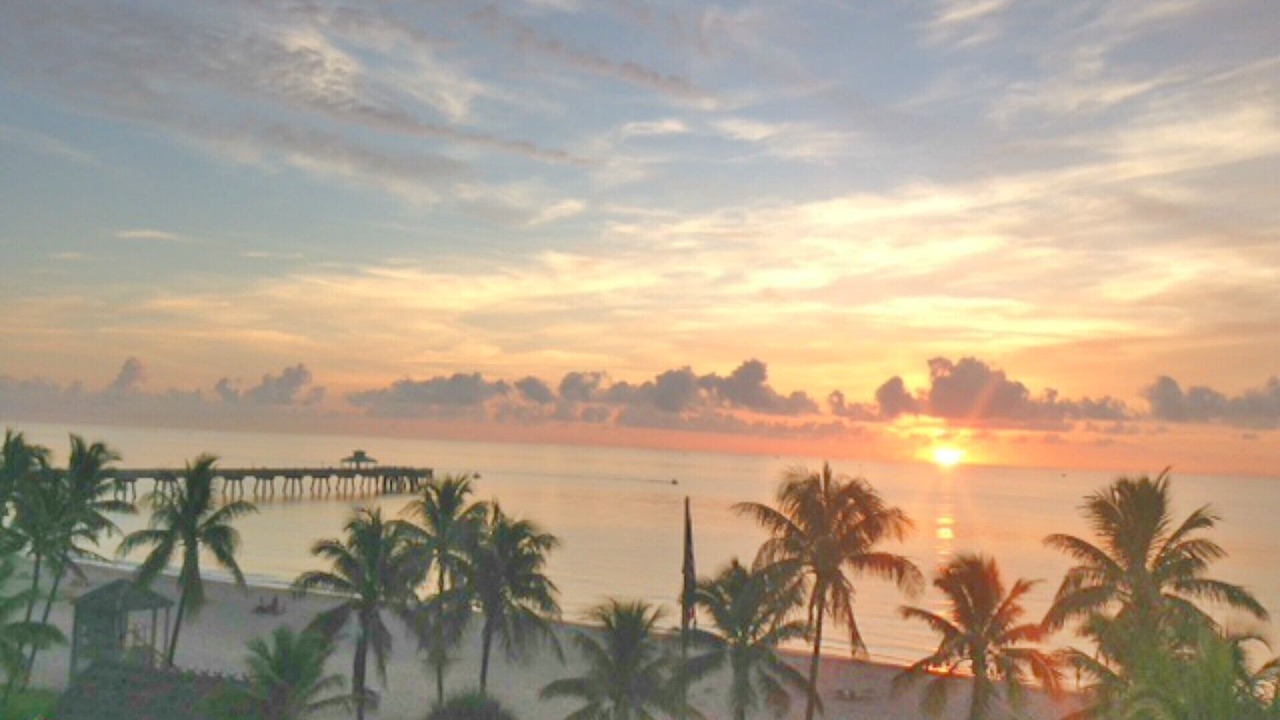 Photo of Others in Deerfield Beach