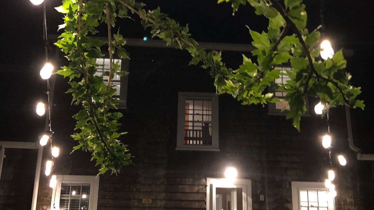 Photo of Outdoor in Mara Vista
