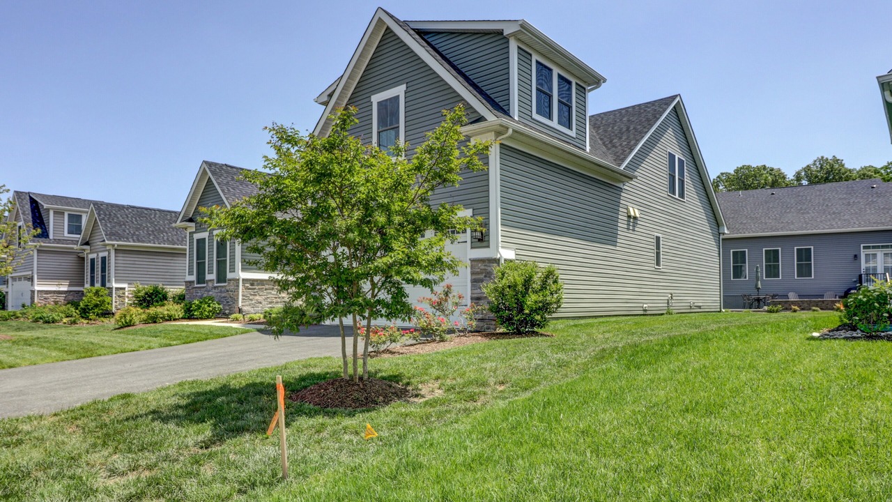Photo of Outdoor in The Glade