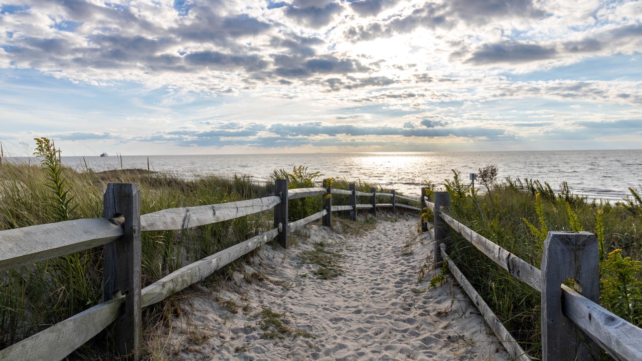Photo of Others in North Cape May