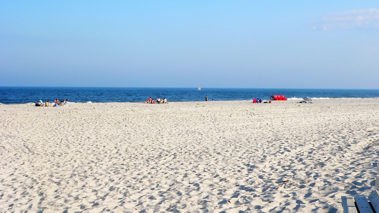 Photo of Others in Beach Haven