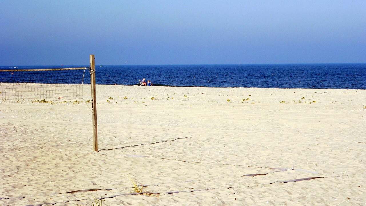 Photo of Others in Beach Haven