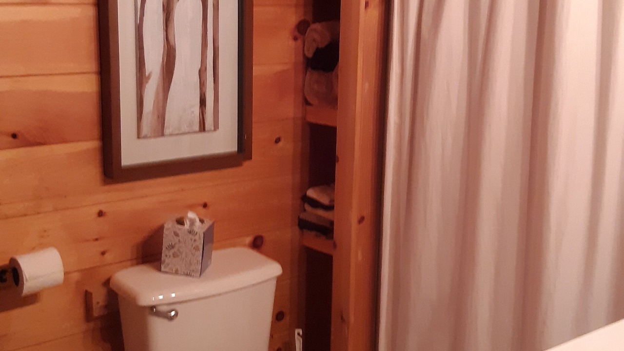 Photo of Bathroom in Slatyfork Farm