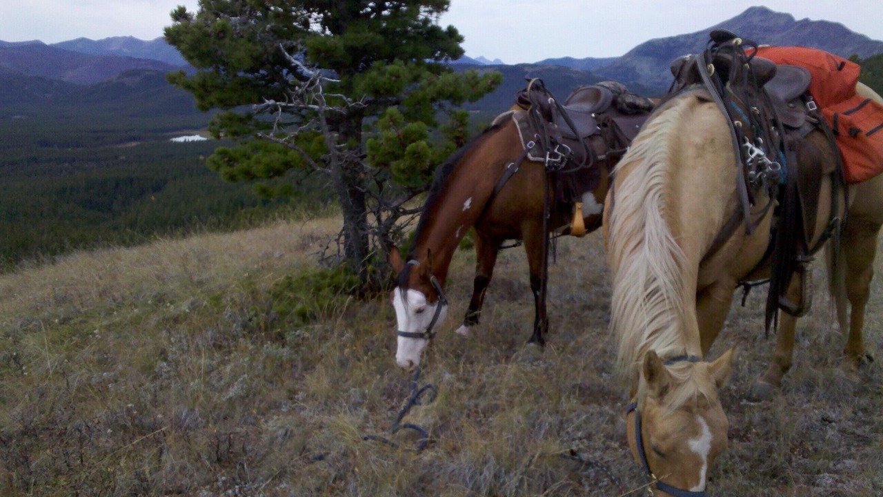 Photo of Others in East Glacier Park Village
