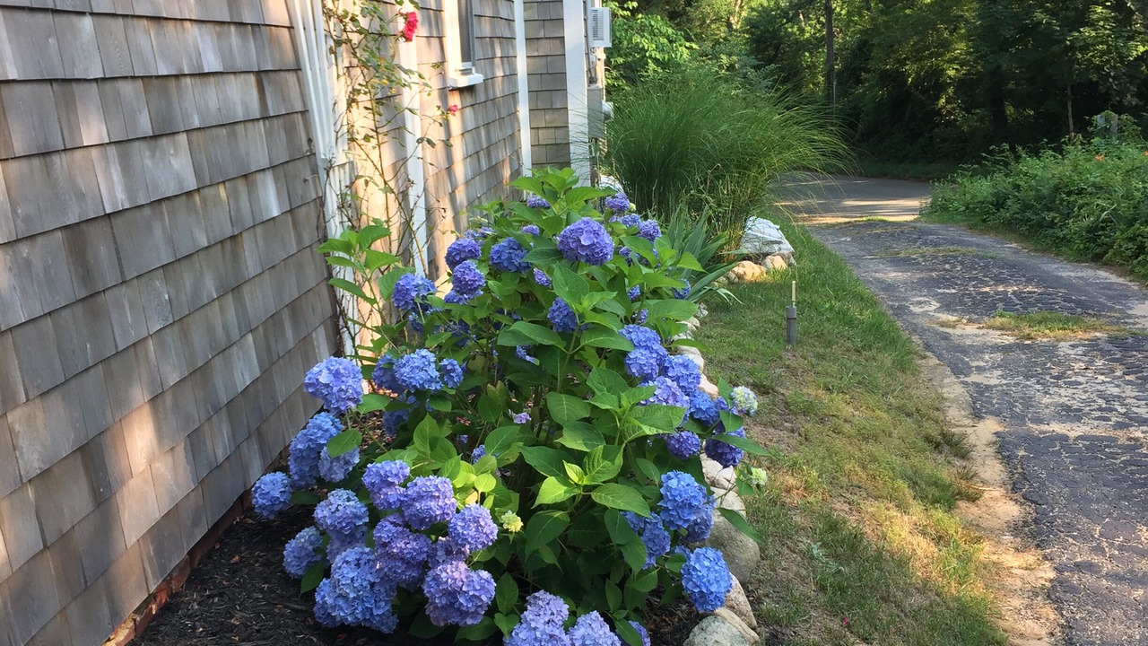 Photo of Outdoor in Wellfleet