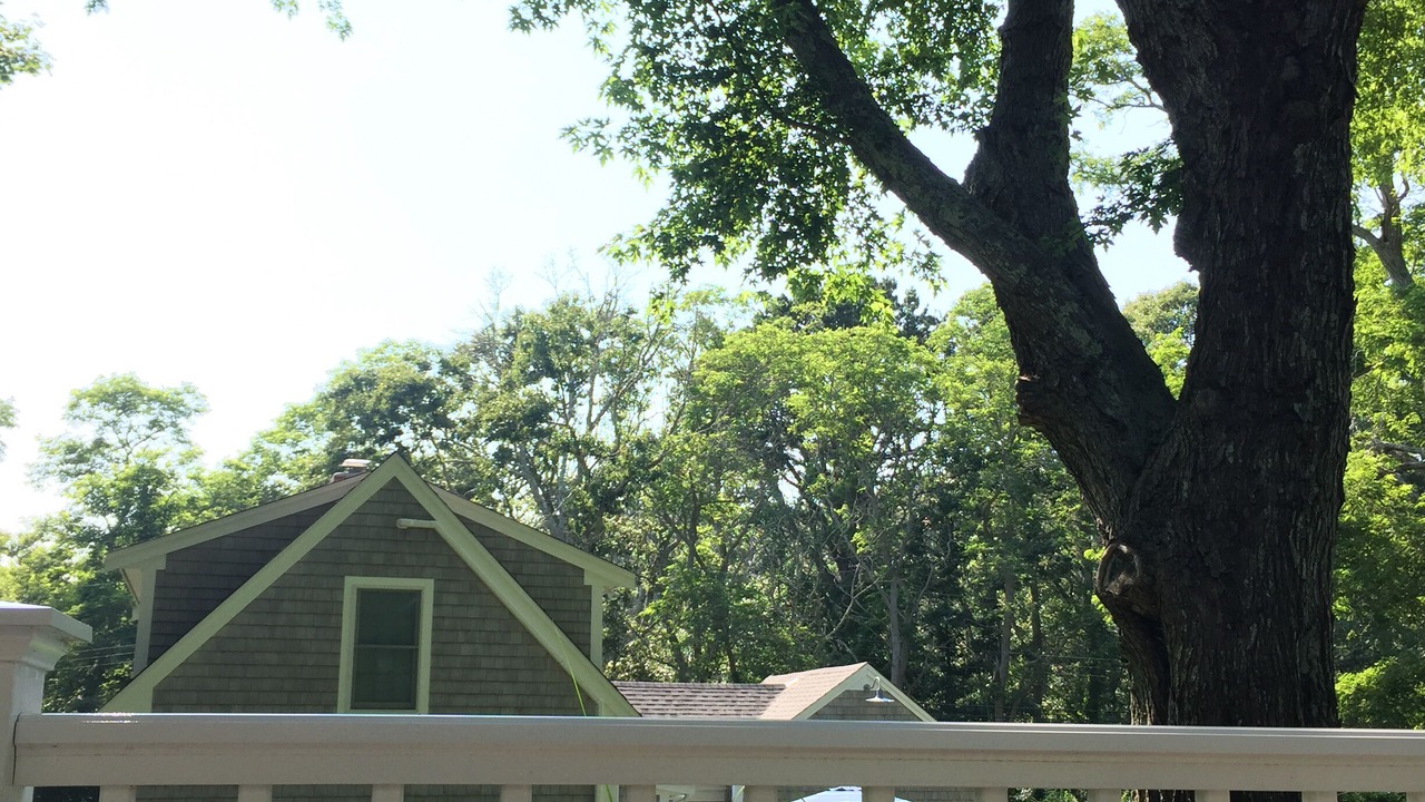 Photo of Others in Wellfleet