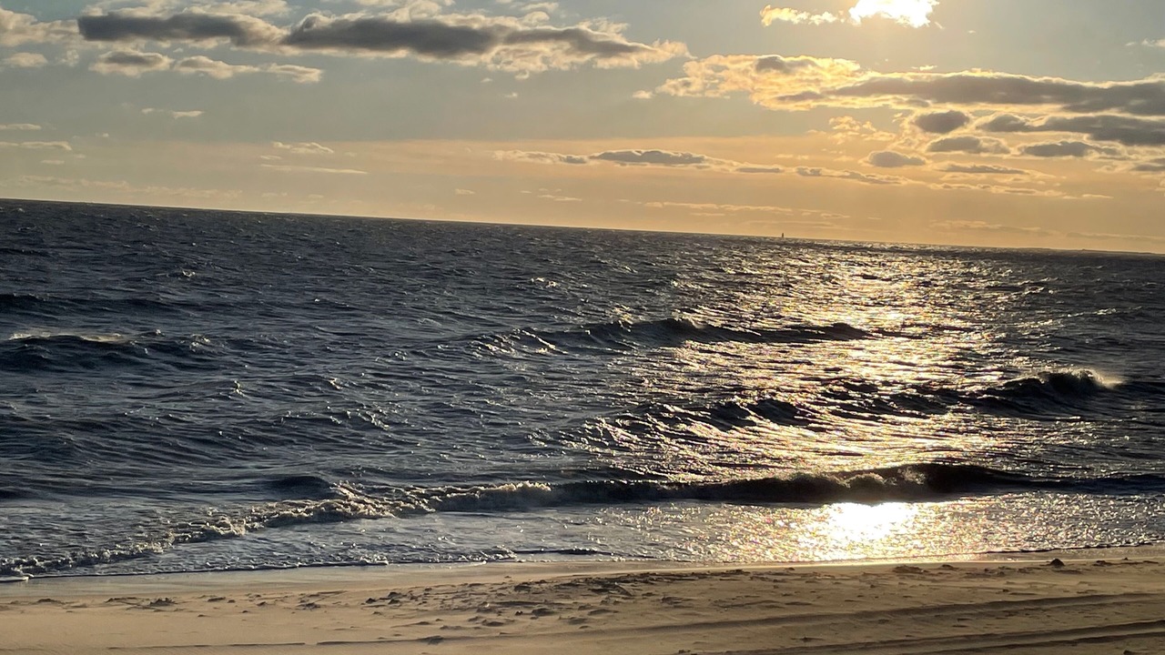 Photo of Others in Broadkill Beach