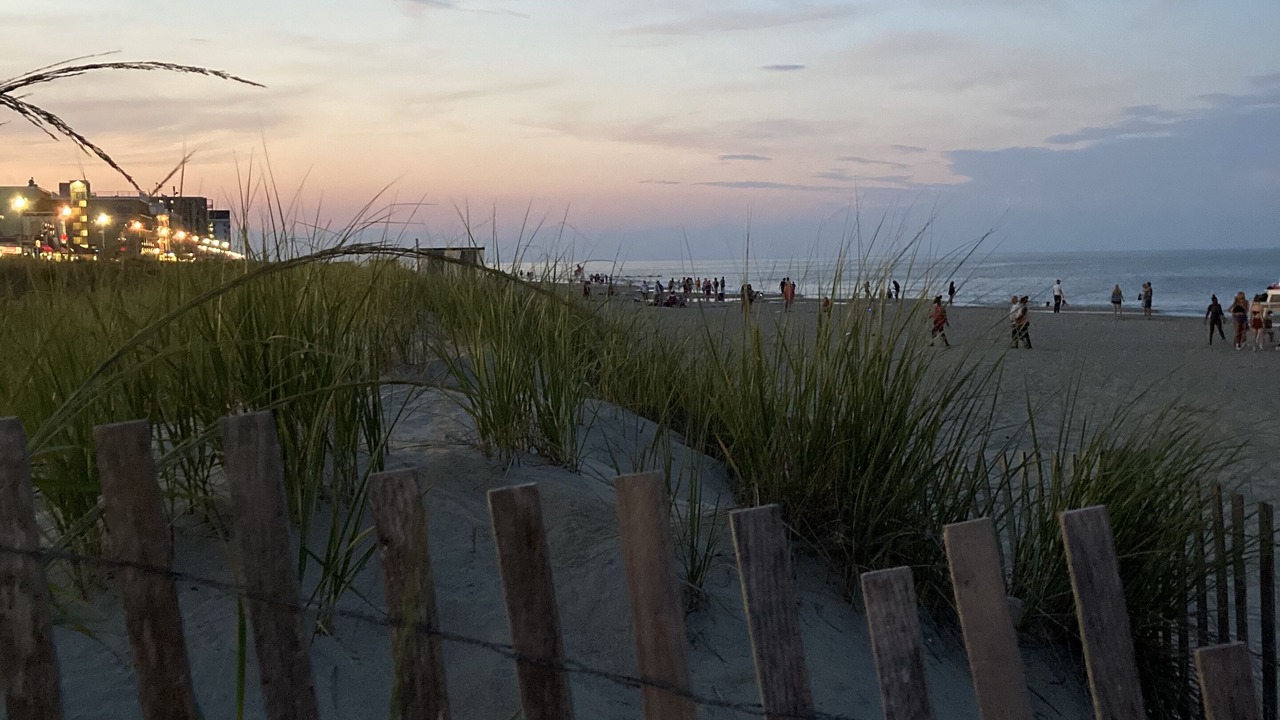 Photo of Others in Rehoboth Beach