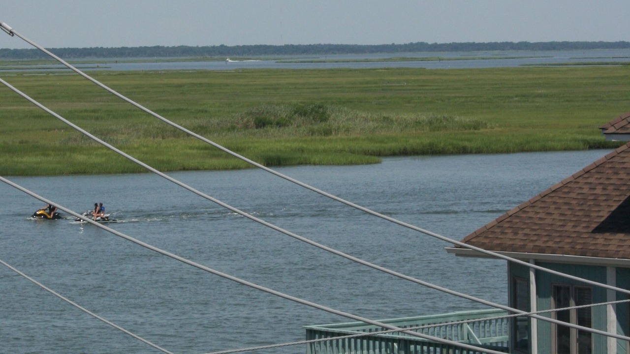 Photo of Others in Stone Harbor
