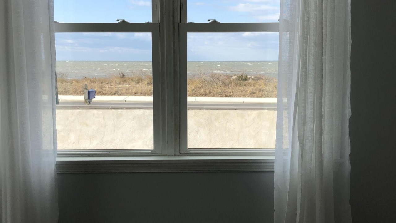 Photo of Others in North Cape May