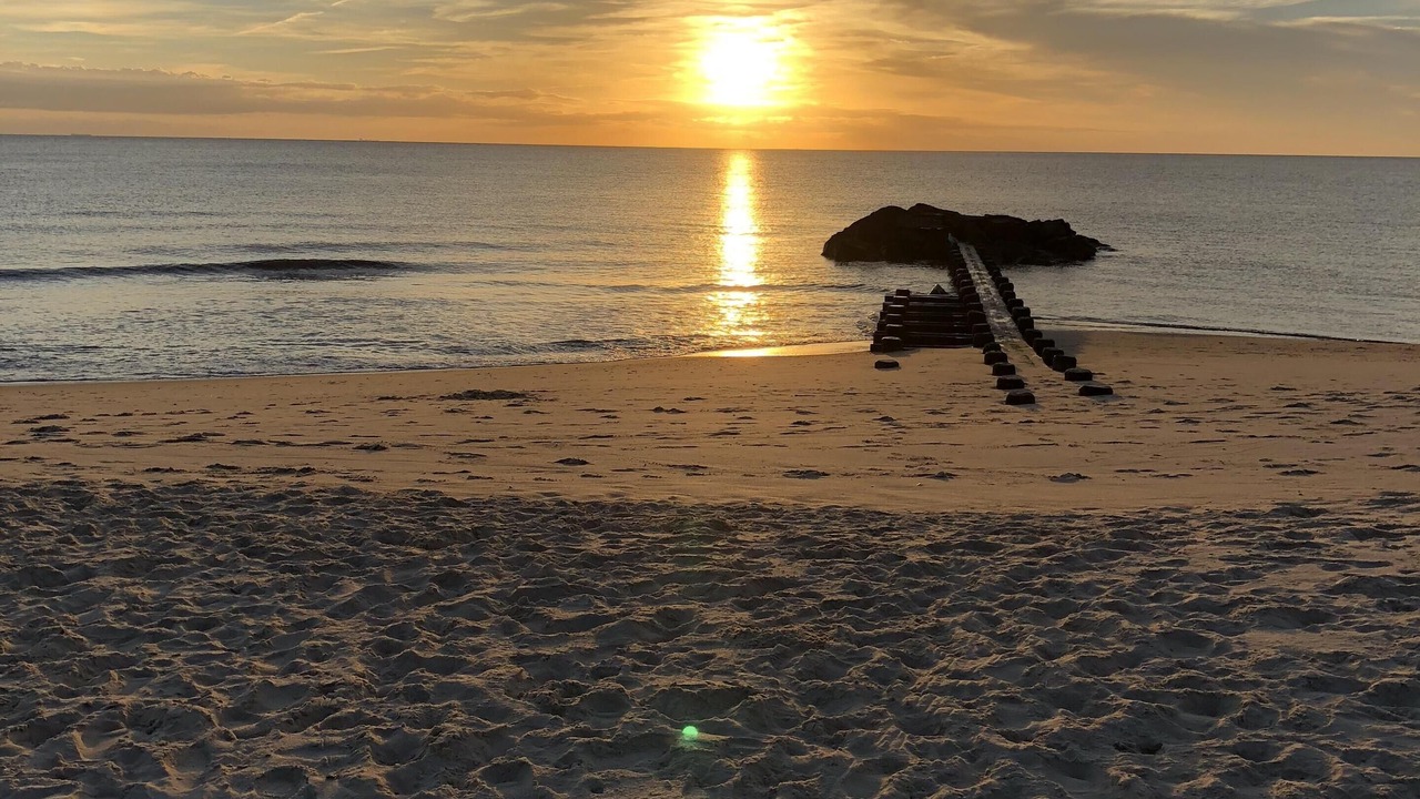 Photo of Others in North Cape May