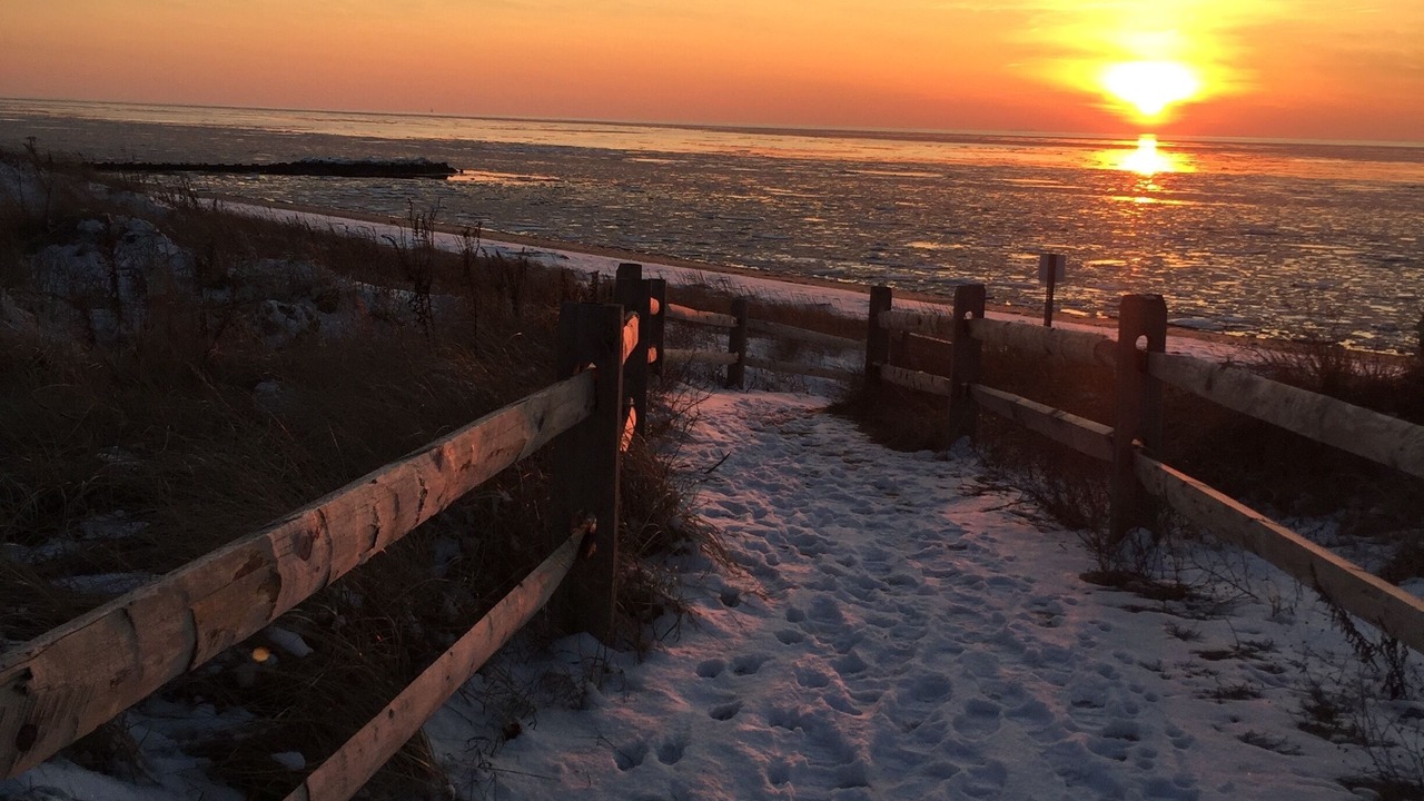 Photo of Others in North Cape May