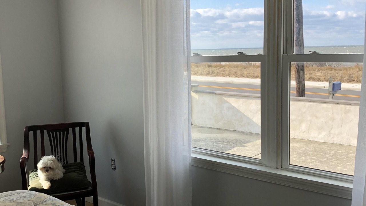 Photo of Others in North Cape May