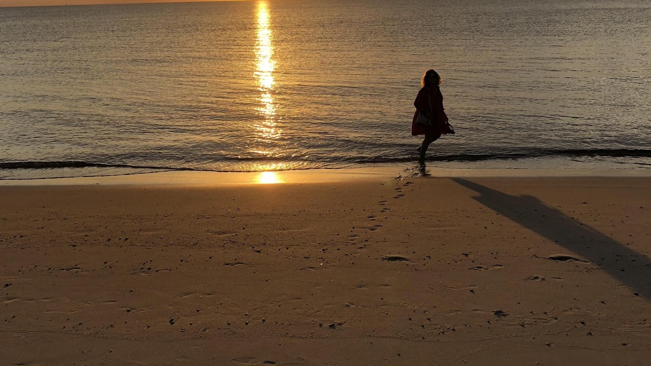 Photo of Others in North Cape May