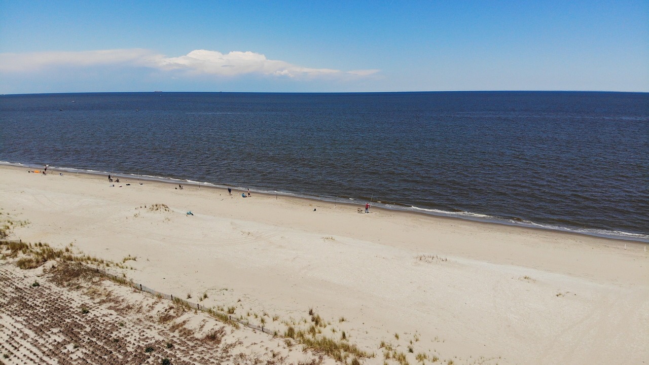 Photo of Others in Broadkill Beach