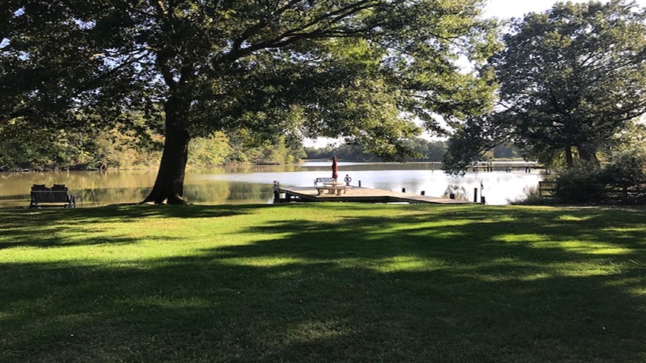 Photo of Others in Cambridge
