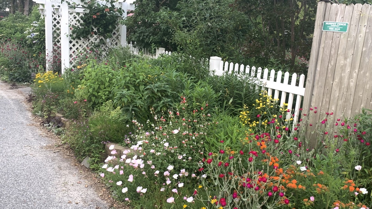 Photo of Outdoor in Villas