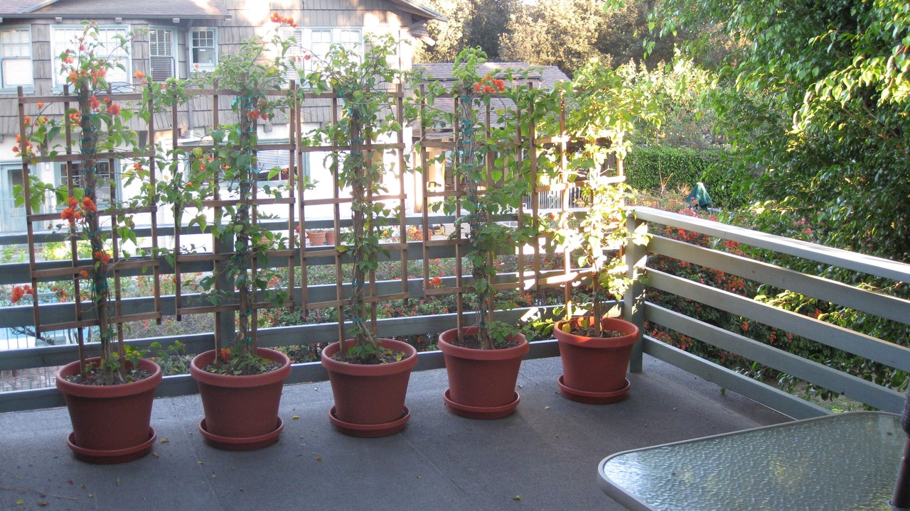 Photo of Patio Balcony in The Flats