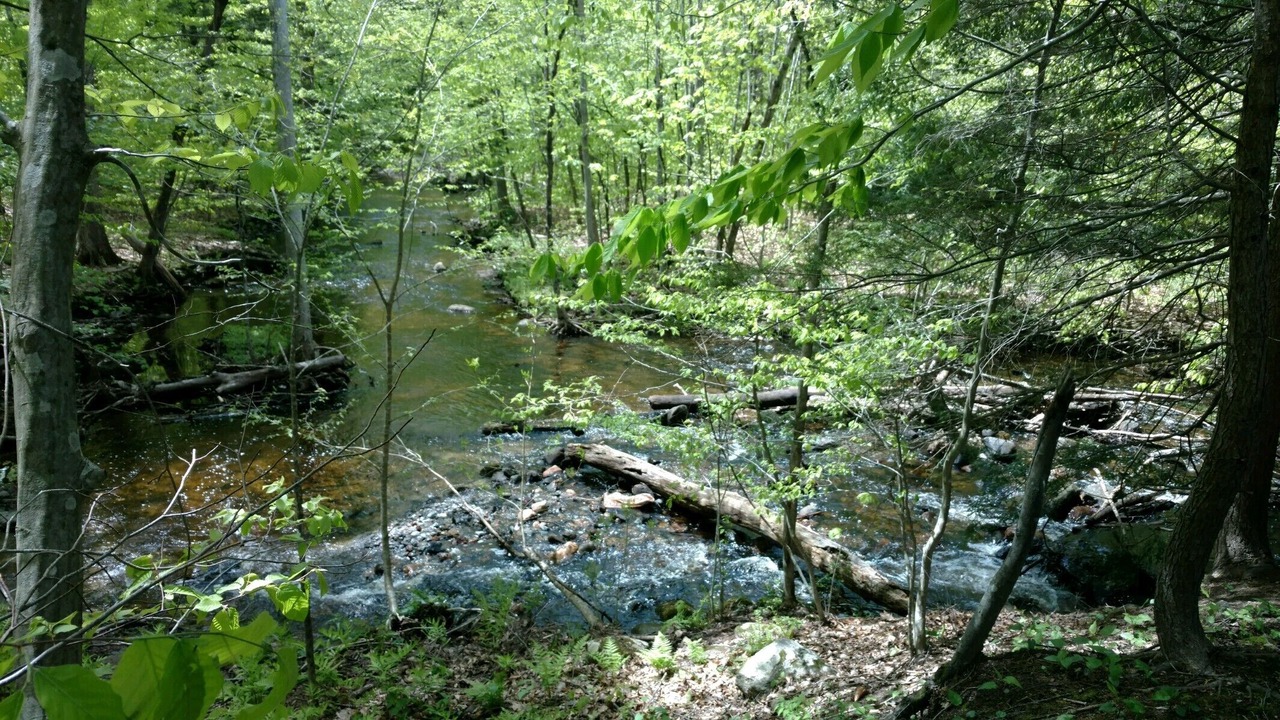 Photo of Outdoor in Greenfield Center