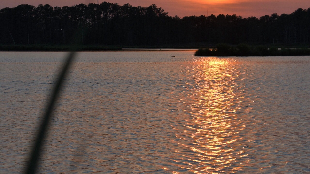 Photo of Others in Sandpiper Pines