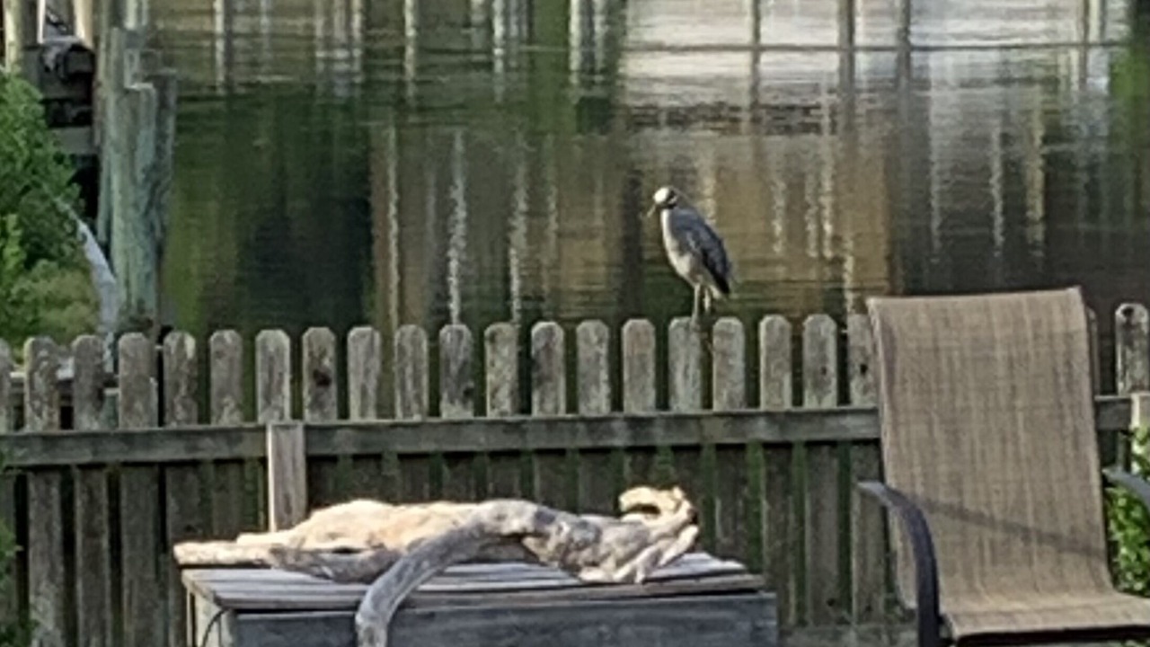 Photo of Outdoor in Northeast Virginia Beach